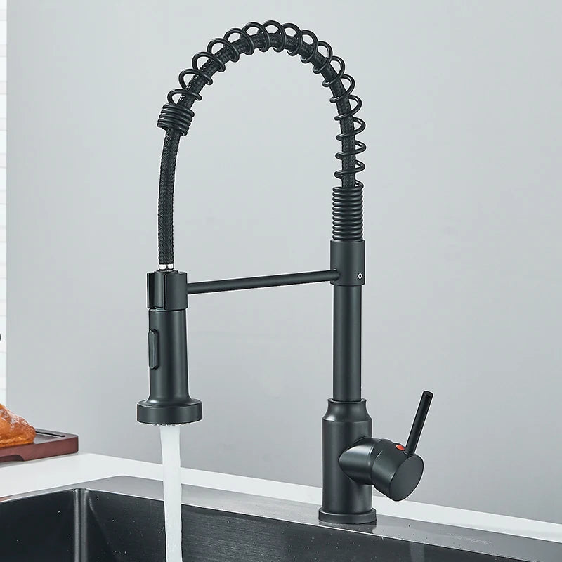 Kitchen Sink Faucet