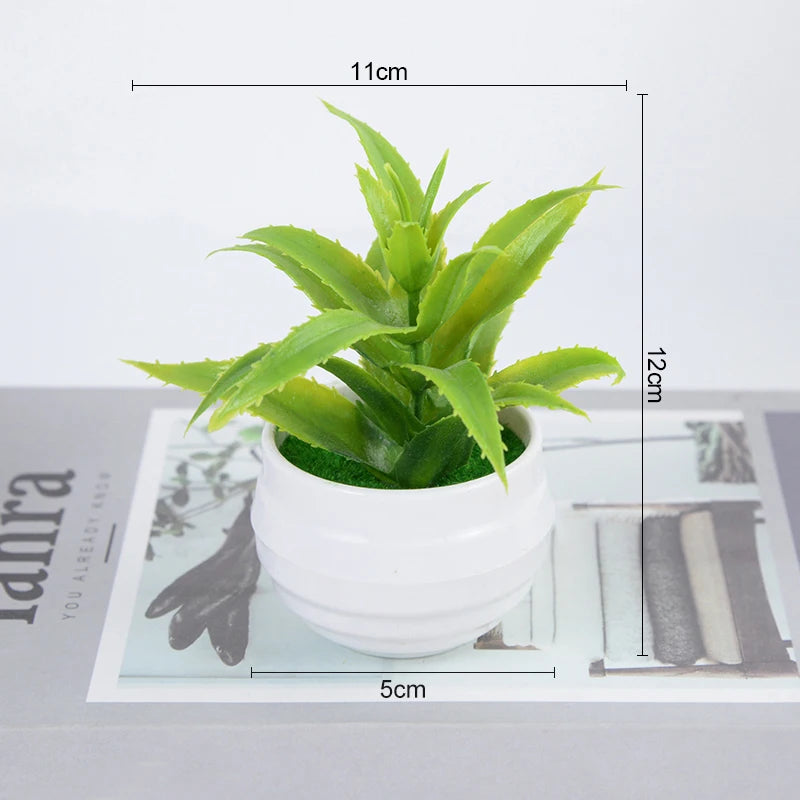 Bonsai Small Tree Pot