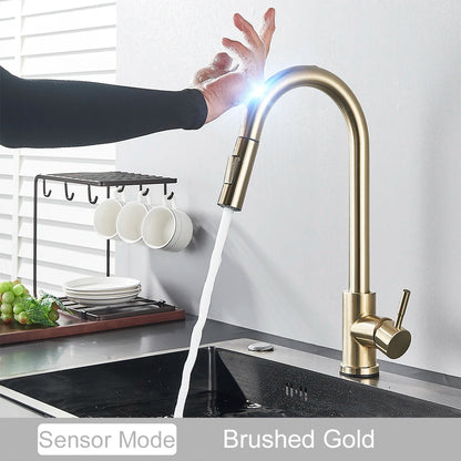 Black Pull Out Sensor Kitchen Faucet