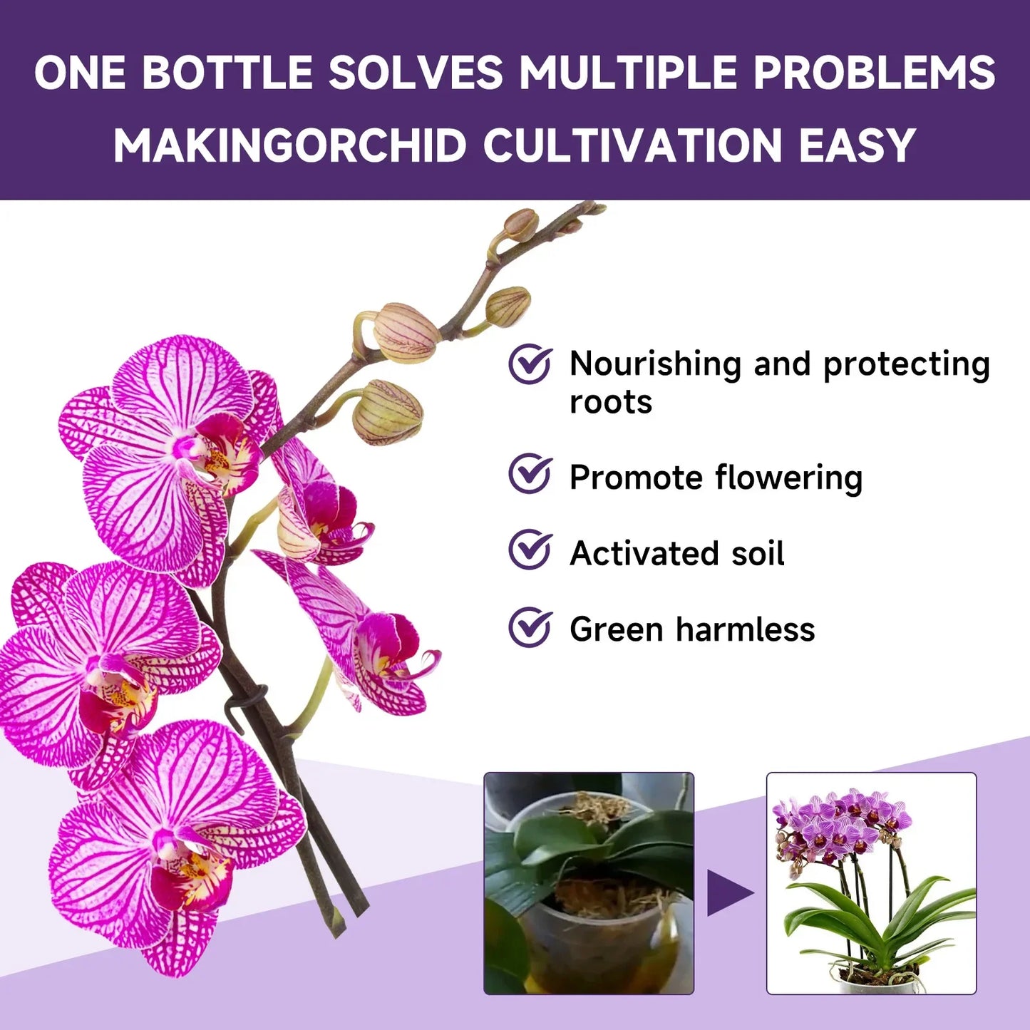 Orchid Special Liquid Flower Fertilizer
