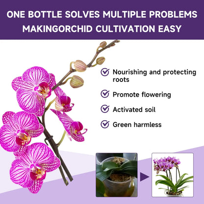 Orchid Special Liquid Flower Fertilizer