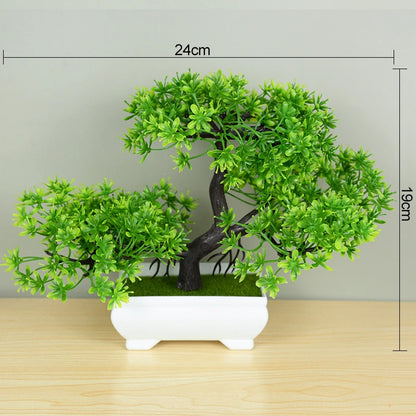 Bonsai Small Tree Pot