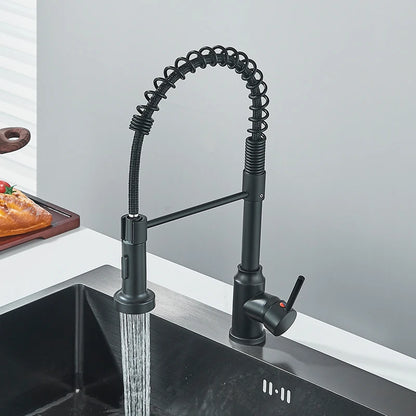 Kitchen Sink Faucet