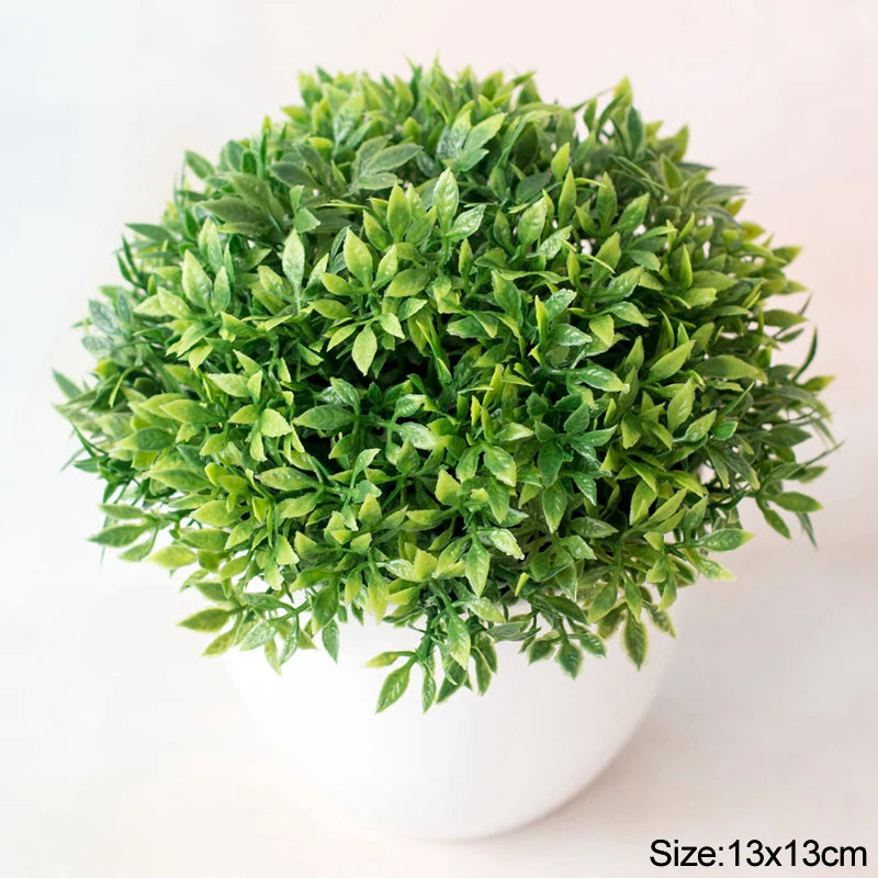 Bonsai Small Tree Pot
