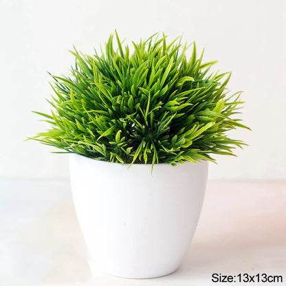 Bonsai Small Tree Pot