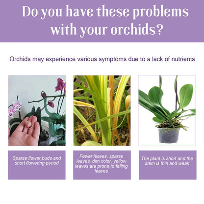 Orchid Special Liquid Flower Fertilizer