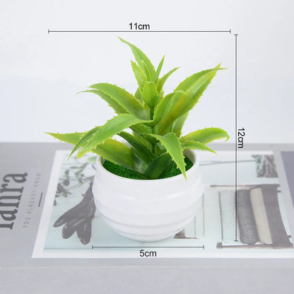 Bonsai Small Tree Pot