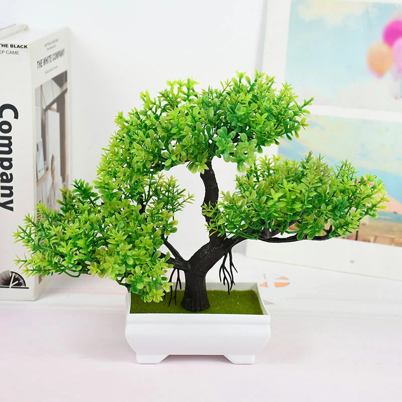 Bonsai Small Tree Pot