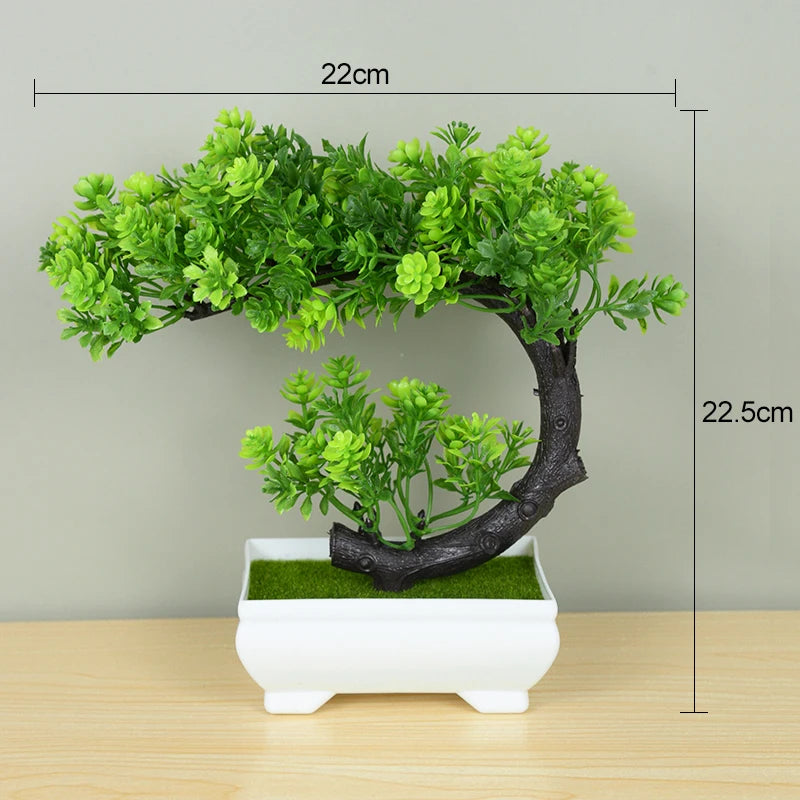 Bonsai Small Tree Pot