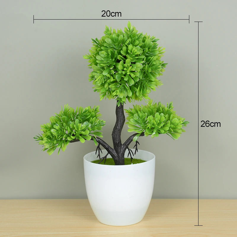 Bonsai Small Tree Pot