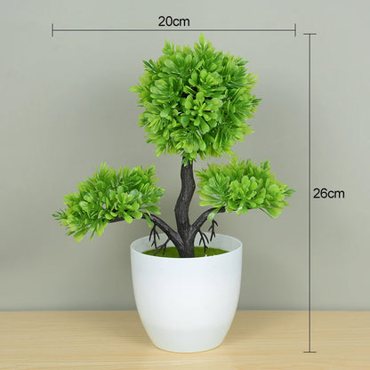 Bonsai Small Tree Pot
