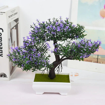 Bonsai Small Tree Pot