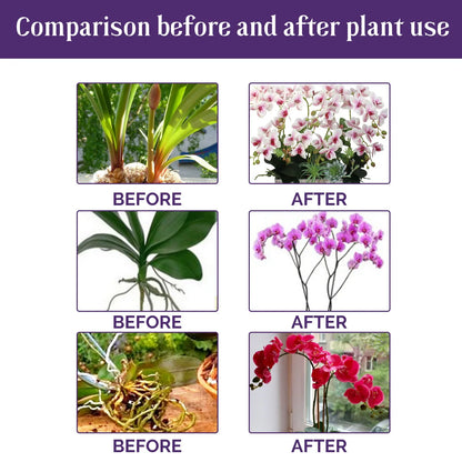 Orchid Special Liquid Flower Fertilizer