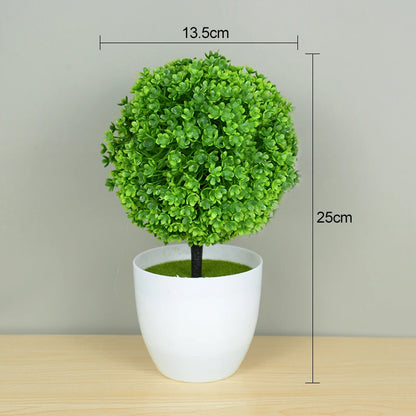 Bonsai Small Tree Pot